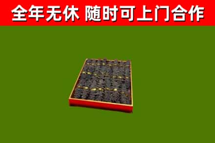 台山回收海参